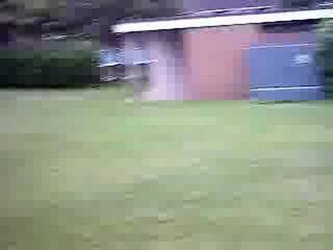 The Virgin Mary Dance