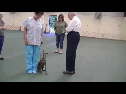 training figure 8 heel work pkc 5 6 14