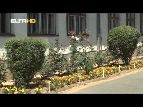 BL HRONIKA 05 05 15   BIRAMO NAJLJEPSE DVORISTE