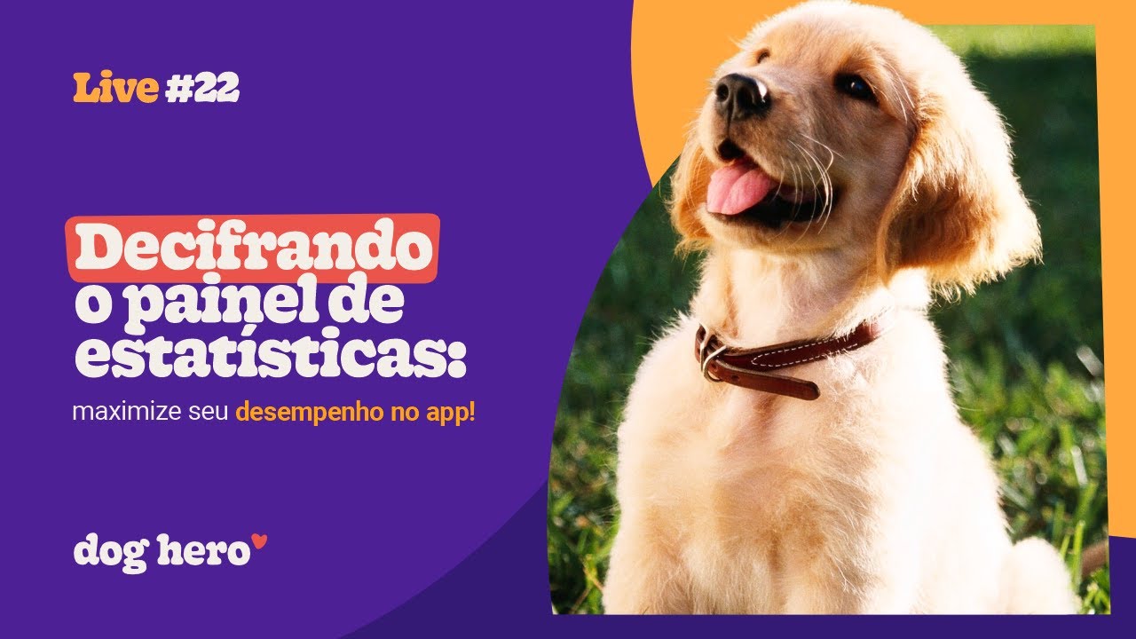 Decifrando o painel de estatísticas: maximize seu desempenho no app!