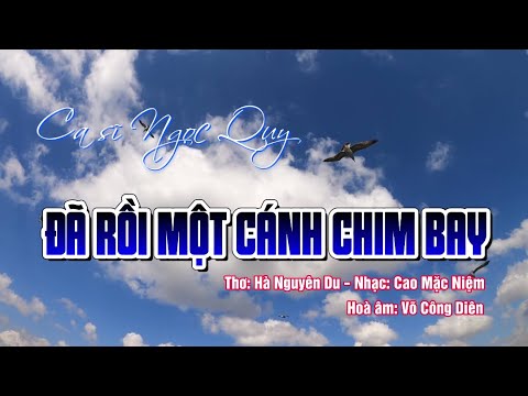 Đã rồi một cánh chim bay - Ngọc Quy