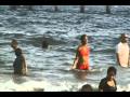 CONEY ISLAND AGOSTO 23 2009