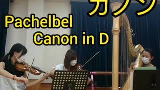 Download lagu パッヘルベル(Pachelbel)作曲『カノン(Canon)』ヴァイオリンとハープのコンサートリハーサル mp3 Download lagu パッヘルベル(Pachelbel)作曲『カノン(Canon)』ヴァイオリンとハープのコンサートリハーサル mp3