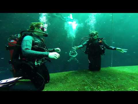 Girls Scuba Diving Blue Grotto #3