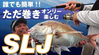 【スーパーライトジギング】誰でも簡単、楽しさ100倍！ただ巻きオンリーで釣る北九州SLJゲーム / 中島成典