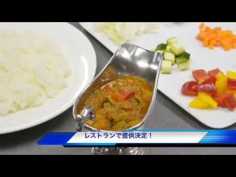成田ビューホテル×和洋 女子大　特色あるランチメニューの開発