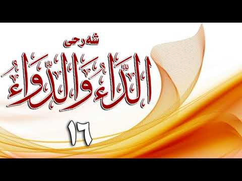 وانەی شازدەیەم
