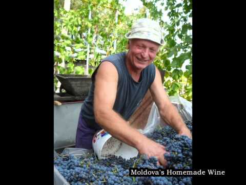 Moldova's Homemade Wine