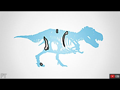 Por que é tão difícil encontrar um dinossauro inteiro | Minuto da Terra