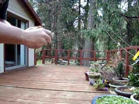 The Real World's Fastest Finger Snapper