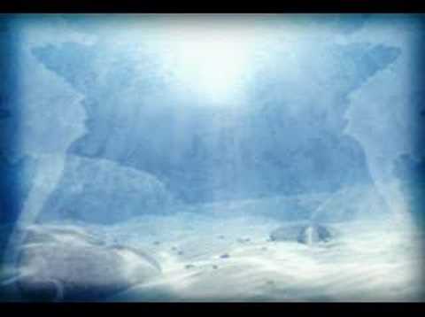 Pacific International Education Consultancy