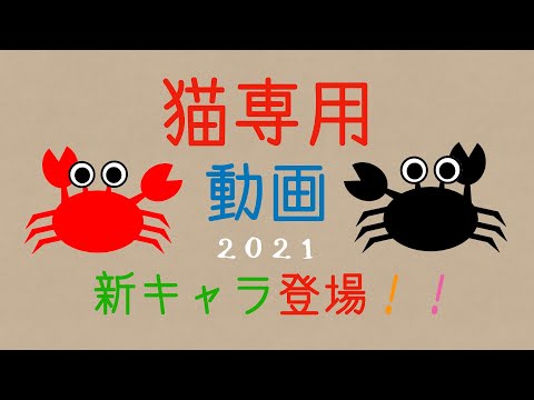 猫専用動画 2021 cat game for cat. 新しいキャラはカニ！？編　効果音なし^^