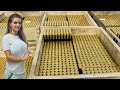 How BULLETS are made - Satisfying Manufacturing Process - MUST WATCH