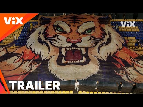Tráiler Tigres: La historia perfecta