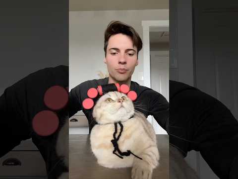 Presenting Milo #cat #cats