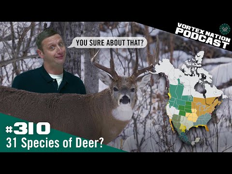 Ep. 310 | 31 Species of Deer? “You sure about that?” “You sure about that?”
