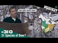 Ep. 310 | 31 Species of Deer? “You sure about that?” “You sure about that?”