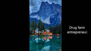 From a Mountain in the Middle of the Cabins- Panic! At The Disco Lyric Video.