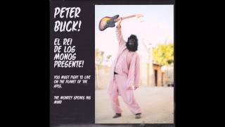 Peter Buck - The Monkey Speaks His Mind