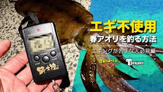 【アオリイカ】エギ不使用！春アオリを釣る別の方法【ニキロ企画】