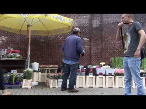 131213 Als mijn hoofd draait...