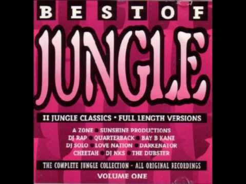 Best Of Jungle Volume One