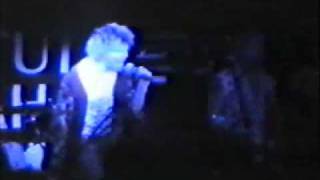 Die Toten Hosen - Whole Wide World (Live)