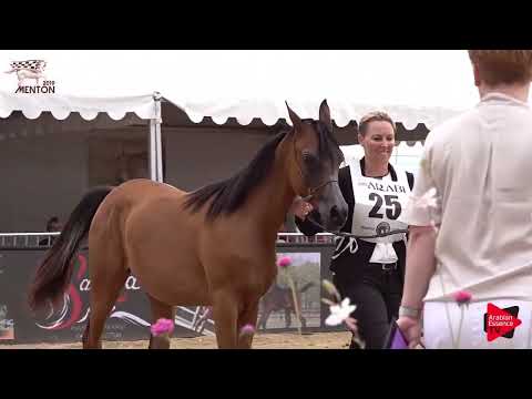 Menton 2019 - Yearling Fillies (Class 1C)