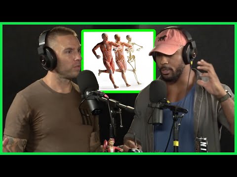 How To Restructure Fascia