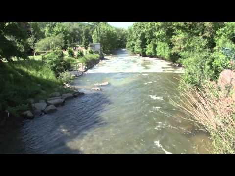 Hochwasserschutz: Wie die Dreisam gezähmt werden soll