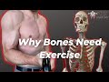 How Your Bones Change With Exercise