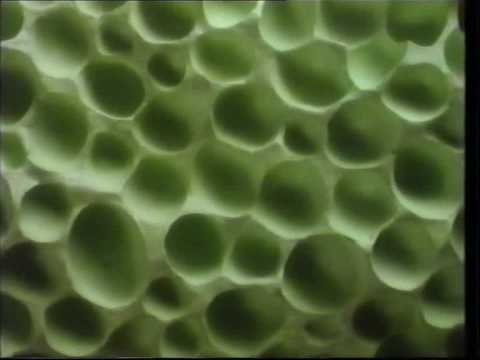 Peppermint Aero - It's The Bubbles of Nothing That  Make It Really Something