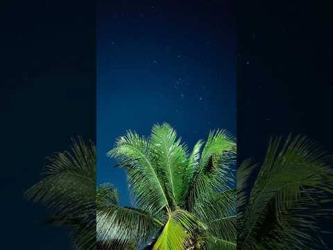 How to do Star Photography with Phone 📱| Mobile Photography with Oppo Reno 10 Pro+ #youtubeshorts