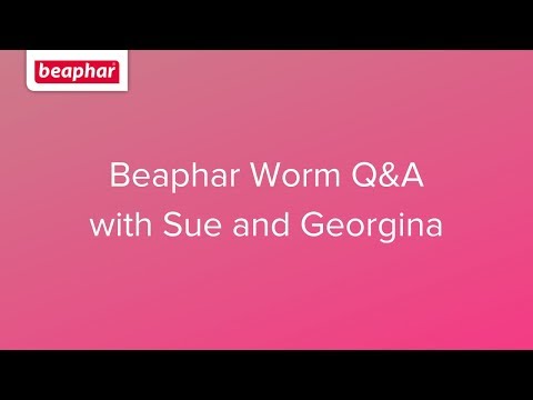 Beaphar Worm Q&A with Sue and Georgina