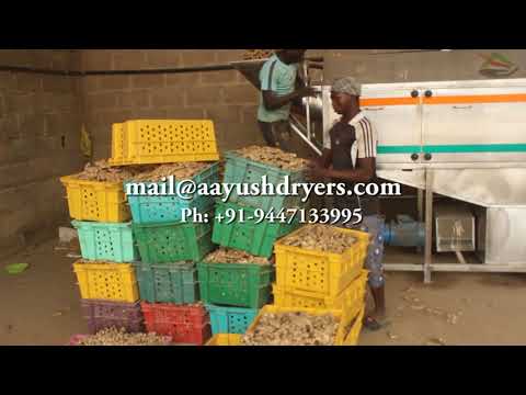 Ginger and Turmeric Rotary Washing Machine