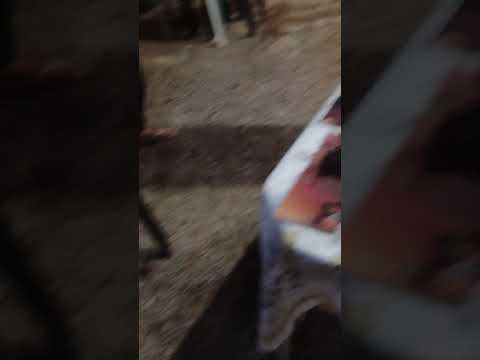 Silas mostra espetinho da mamãe Selene em Valparaíso de Goiás para tia Dale