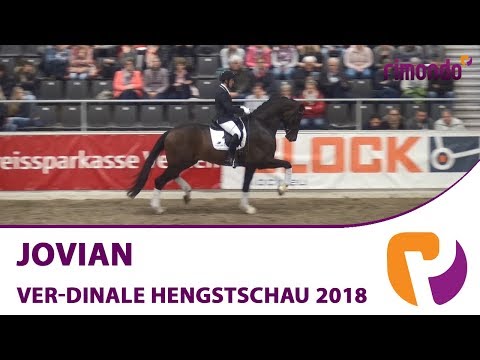 Jovian | Hengstschau Verden | Sieger Sportprüfung 2018