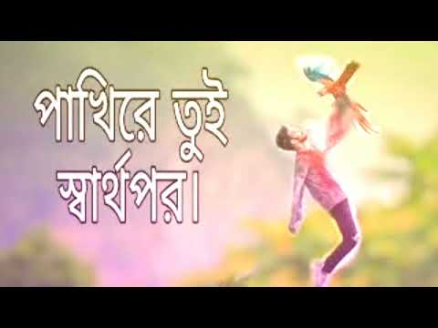 পাখিৱে তুই স্বার্থ পৱ । Pakhi re tui shartoho par... bangla sad song 💔💔