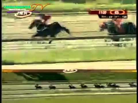 LA RINCONADA 6 CARRERA DOMINGO 31 DE AGOSTO DEL 2014