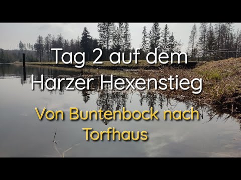 Tag 2 auf dem Harzer Hexenstieg von Buntenbock nach Torfhaus
