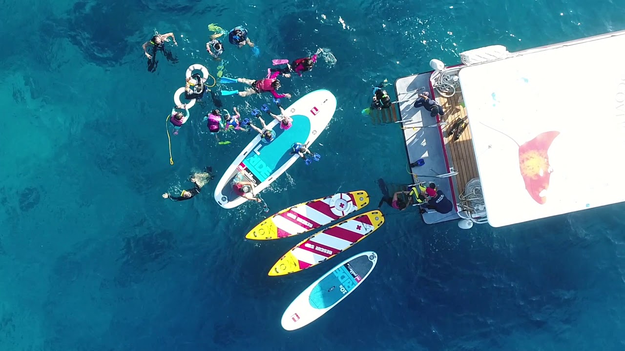 小琉球綠蠵龜樂園 宣導短片