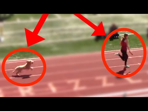 Dog Runs Down Leader And Wins Track Race!