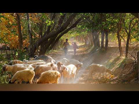 Uyghur Dutar Music - Baliliqim
