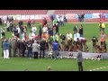 2013 SV BSZS Kassel GHKR Males First Ring Part 3
