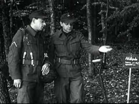 Truppenhygiene Teil a & b