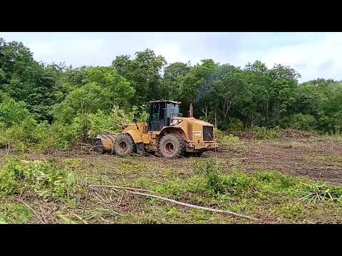 Comunidade campo verde, porto grande/AP 