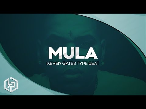 Kevin Gates x Ace Hood Type Beat - Mula (Prod. Kidynamic Productions & LayDownMusic)