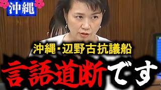 【国民民主党・伊藤孝恵】リスタートなんてできない！『沖縄・辺野古沖事故』を国会追及…一人の親としても猛追及した質疑【永久保存版】