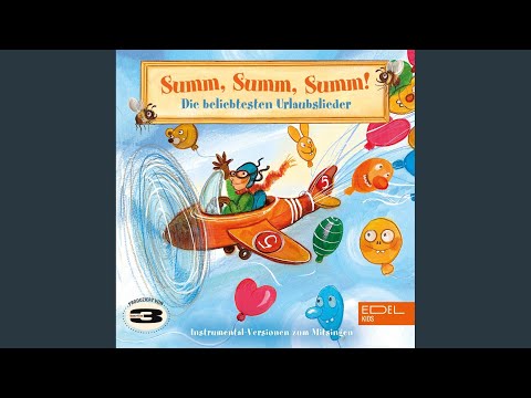 Video thumbnail for Sommersonne (Instrumental-Version)