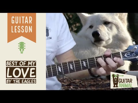 How to Play Best of My Love by the Eagles - Guitar Lesson